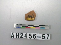 藏品(紅色細砂繩紋陶片)的圖片